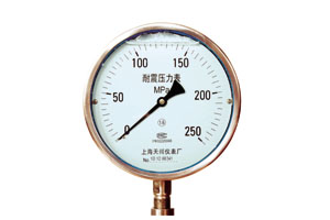 耐震超高壓壓力表